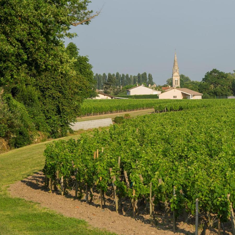 Clos De Bertinat Saint-Sulpice-de-Faleyrens Extérieur photo