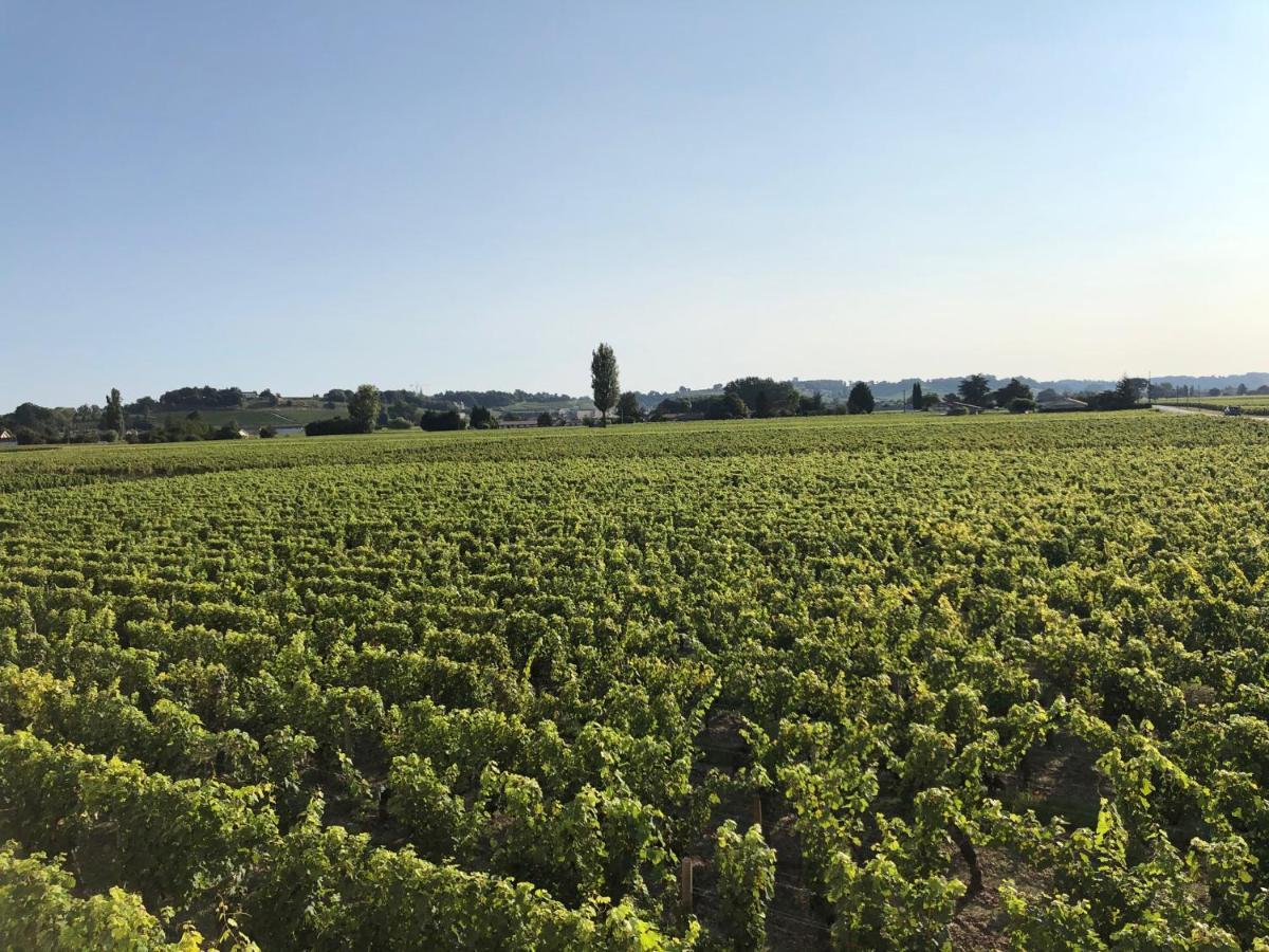 Clos De Bertinat Saint-Sulpice-de-Faleyrens Extérieur photo